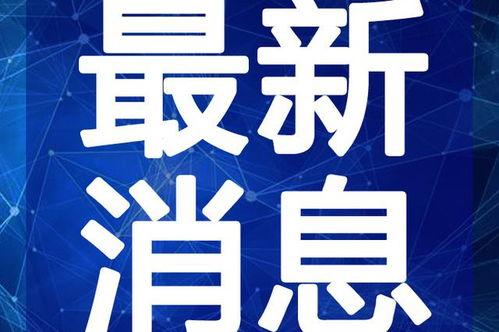 麻城鼓楼新闻爆料视频最新,最新视频揭露惊人真相!
